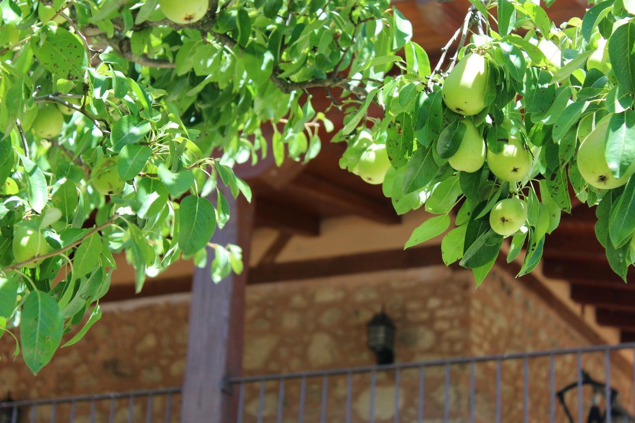 Penzion Complejo Rural La Coronilla Jarandilla de la Vera Exteriér fotografie